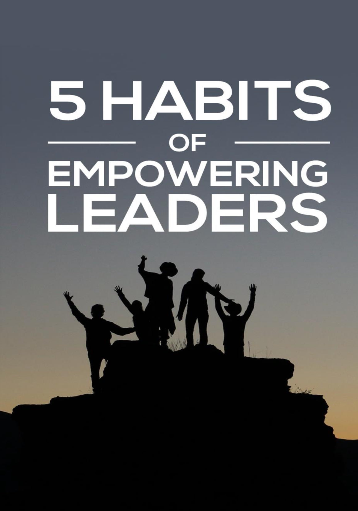 The 5-Step Entrepreneur Series