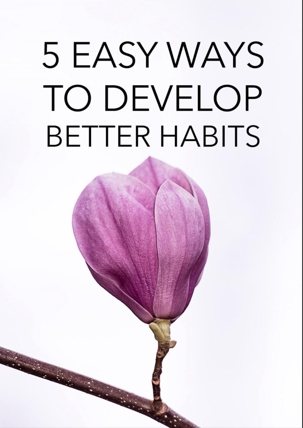 The 5-Step Entrepreneur Series