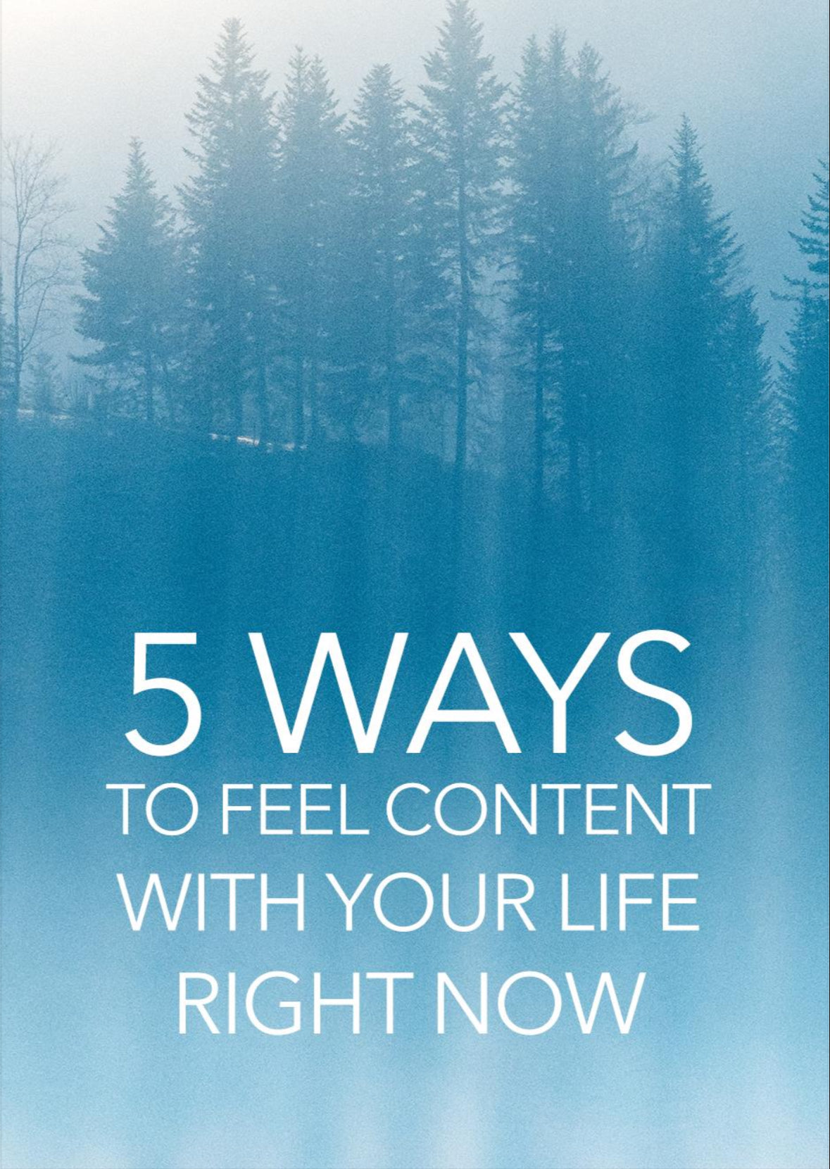 The 5-Step Entrepreneur Series