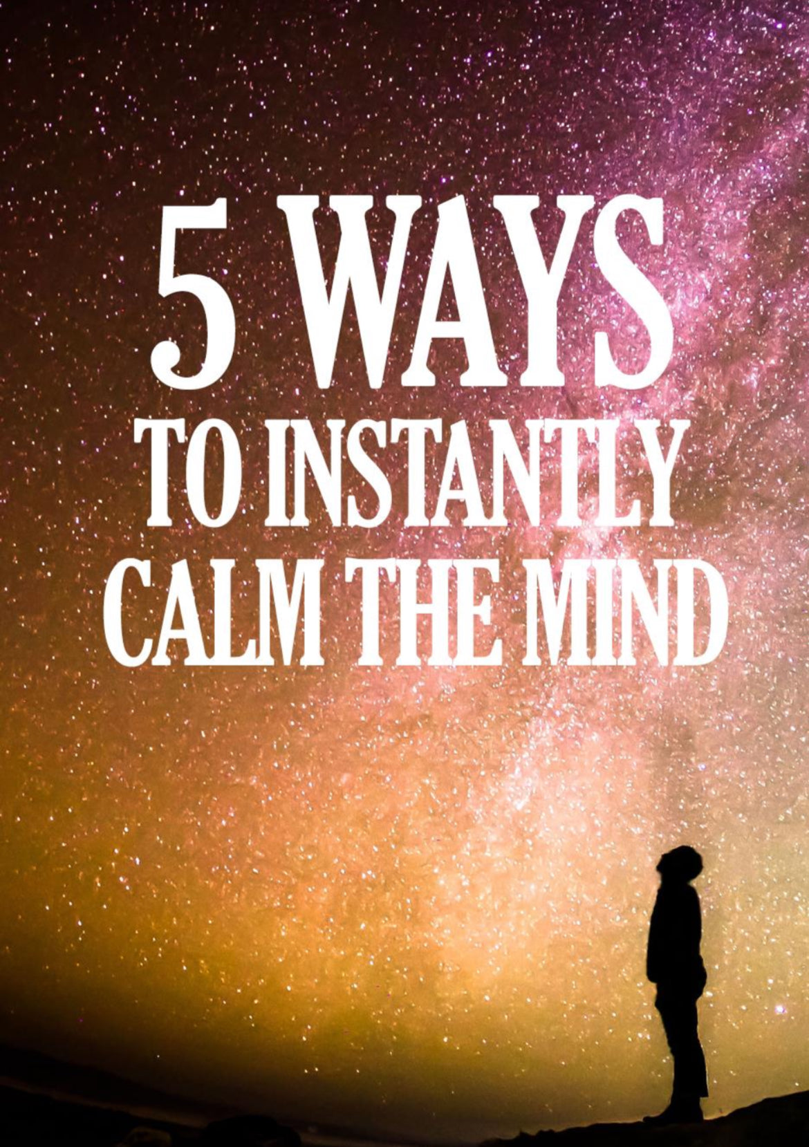 The 5-Step Entrepreneur Series