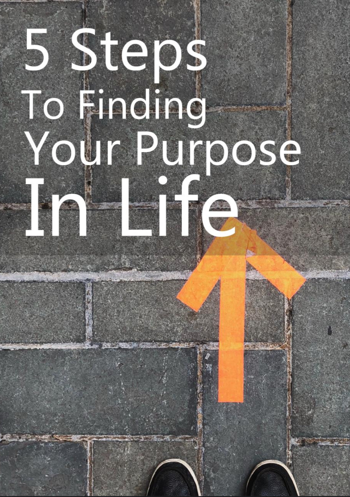 The 5-Step Entrepreneur Series