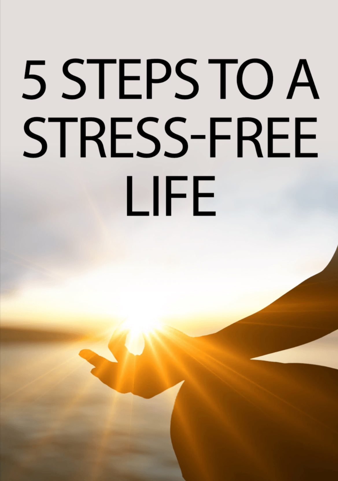 The 5-Step Entrepreneur Series