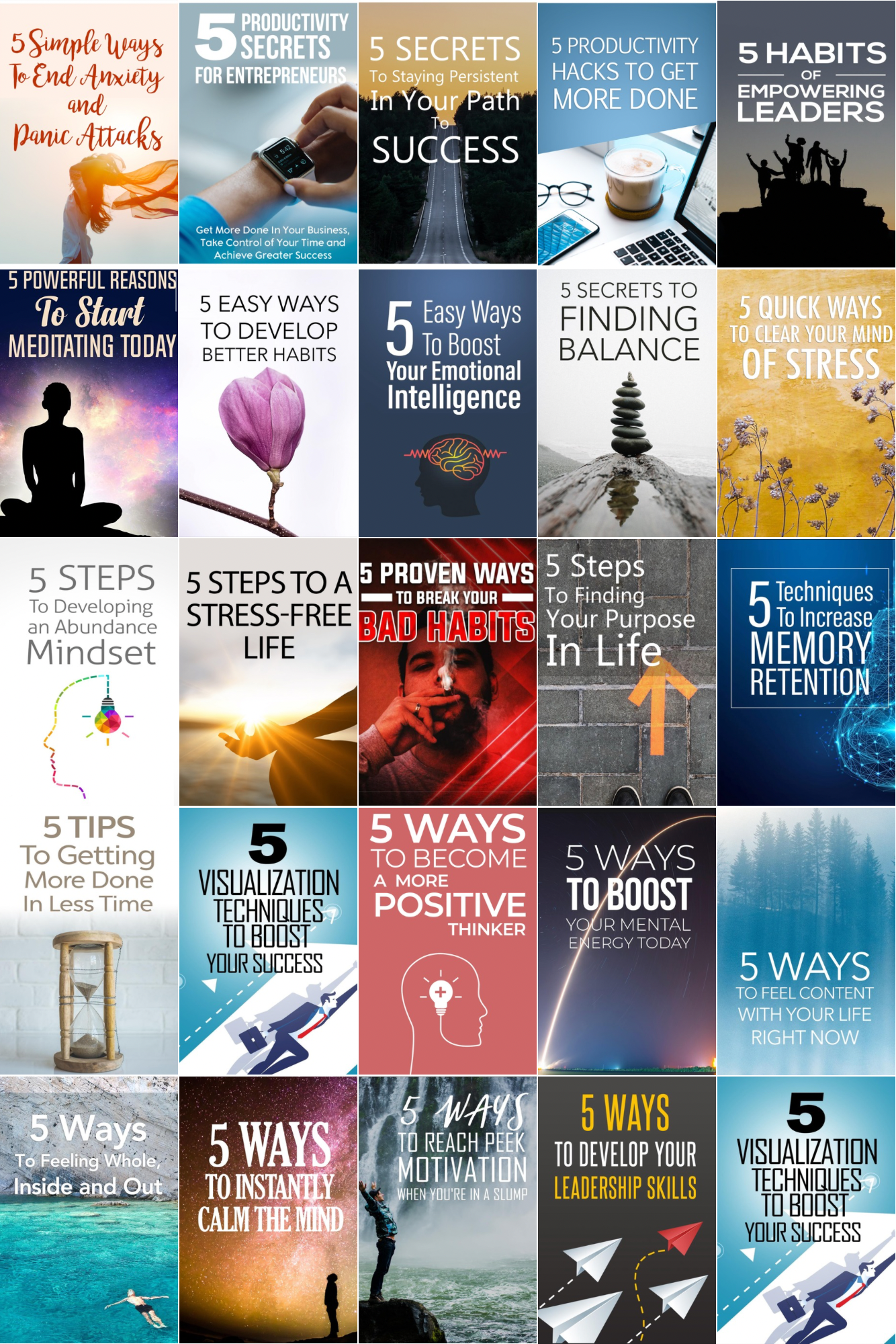 The 5-Step Entrepreneur Series